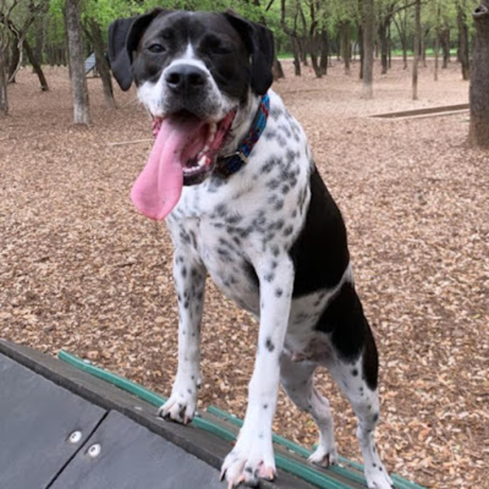 Meet your Posher, Claudia